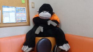 IMG_20160722_110526[1]