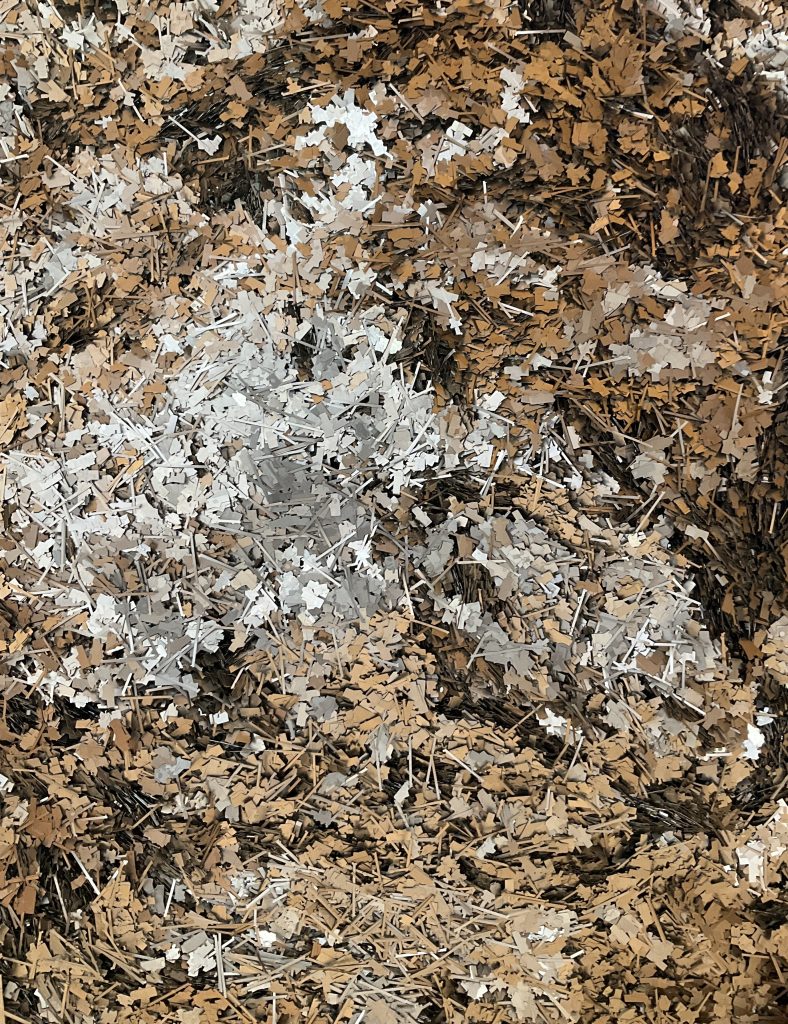 洋白